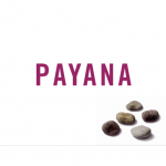 Payana Malbec 750ml