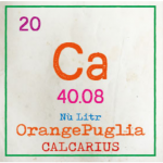 Calcarius Orange Puglia Label