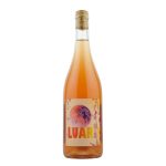 Bojo do Luar 'Luar Rosa' Rose