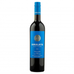 2022 Bodega Amalaya Malbec