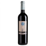 2021 Cellar Vall Llach Embruix